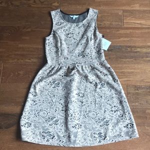 Bbdakota jack - blush lace dress